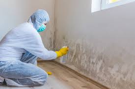 Best Environmental Consulting for Mold Prevention in Imperial, PA